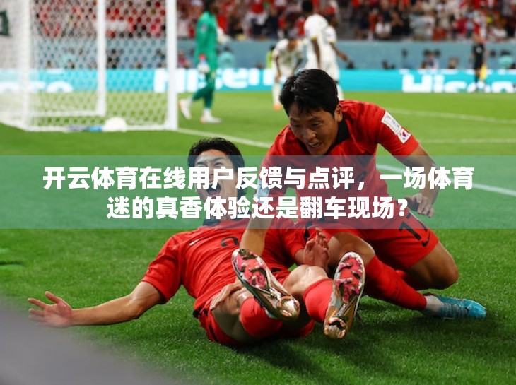 开云体育在线用户反馈与点评，一场体育迷的真香体验还是翻车现场？