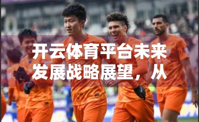 开云体育平台未来发展战略展望，从流量红利到价值深耕的跃迁之路