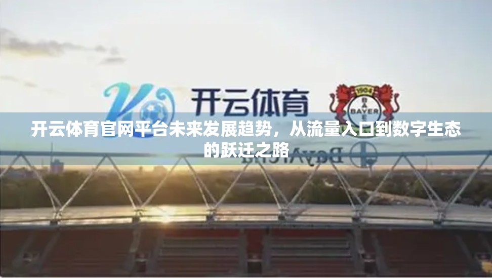 开云体育官网平台未来发展趋势，从流量入口到数字生态的跃迁之路