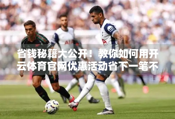 省钱秘籍大公开！教你如何用开云体育官网优惠活动省下一笔不小的开支