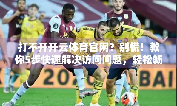 打不开开云体育官网？别慌！教你5步快速解决访问问题，轻松畅享赛事直播！