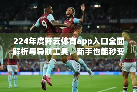 224年度开云体育app入口全面解析与导航工具，新手也能秒变老手的实用指南！