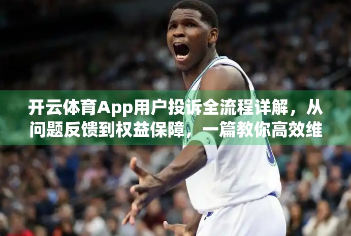 开云体育App用户投诉全流程详解，从问题反馈到权益保障，一篇教你高效维权！