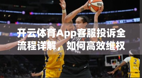 开云体育App客服投诉全流程详解，如何高效维权？手把手教你解决使用难题！