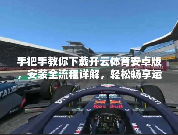 手把手教你下载开云体育安卓版，安装全流程详解，轻松畅享运动赛事直播！