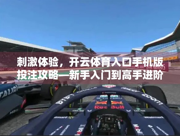 刺激体验，开云体育入口手机版投注攻略—新手入门到高手进阶全解析！