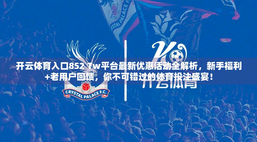 开云体育入口852 Tw平台最新优惠活动全解析，新手福利+老用户回馈，你不可错过的体育投注盛宴！
