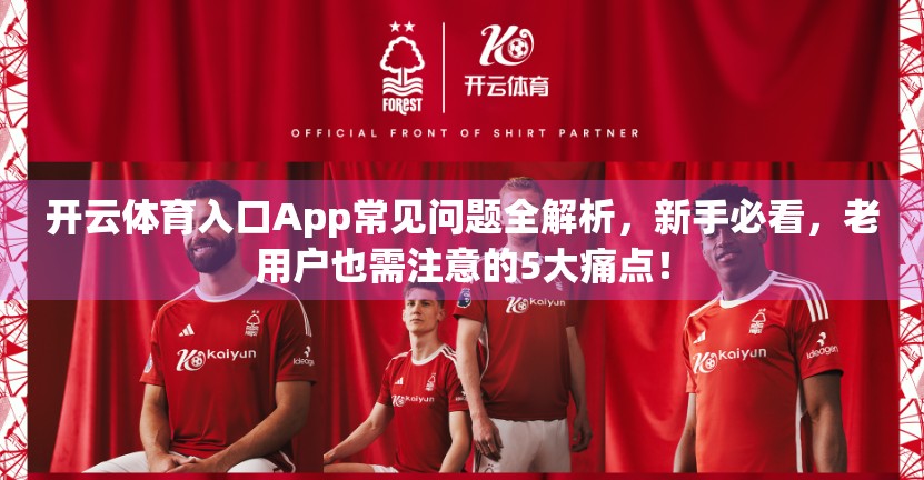 开云体育入口App常见问题全解析，新手必看，老用户也需注意的5大痛点！