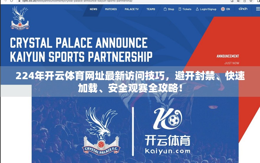 224年开云体育网址最新访问技巧，避开封禁、快速加载、安全观赛全攻略！