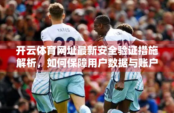 开云体育网址最新安全验证措施解析，如何保障用户数据与账户安全？