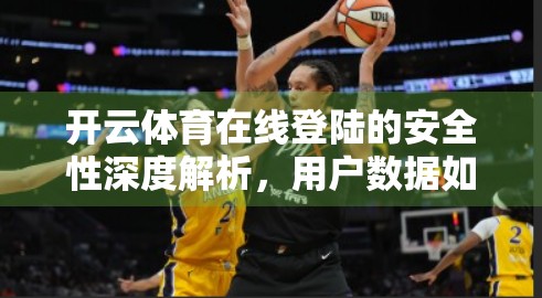 开云体育在线登陆的安全性深度解析，用户数据如何被保护？你真的了解吗？
