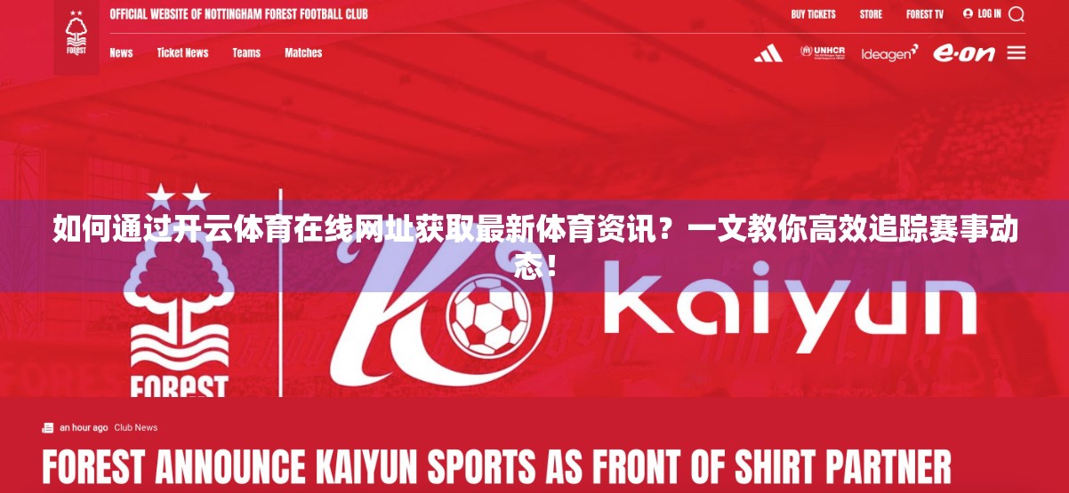 如何通过开云体育在线网址获取最新体育资讯？一文教你高效追踪赛事动态！