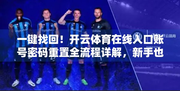 一键找回！开云体育在线入口账号密码重置全流程详解，新手也能秒懂！