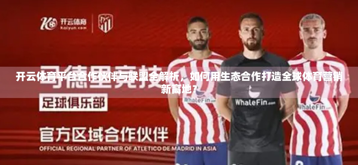 开云体育平台合作伙伴与联盟全解析，如何用生态合作打造全球体育营销新高地？