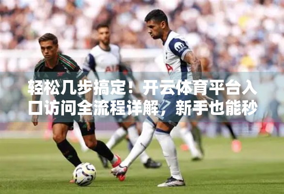 轻松几步搞定！开云体育平台入口访问全流程详解，新手也能秒变老手！