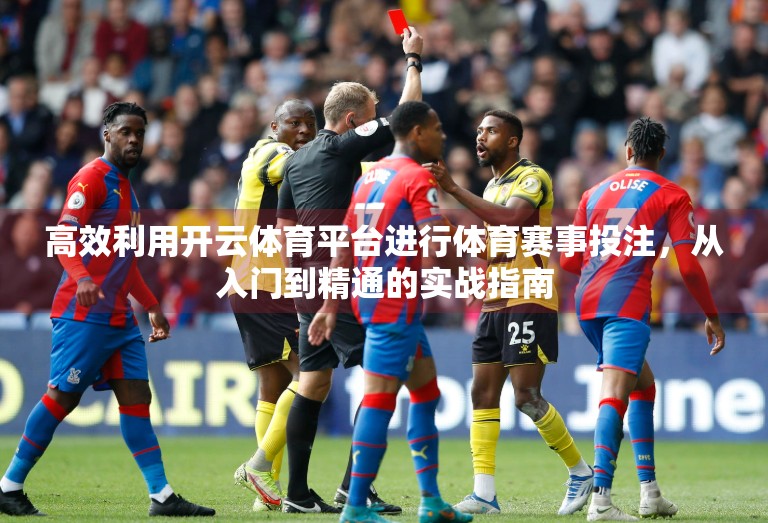 高效利用开云体育平台进行体育赛事投注，从入门到精通的实战指南