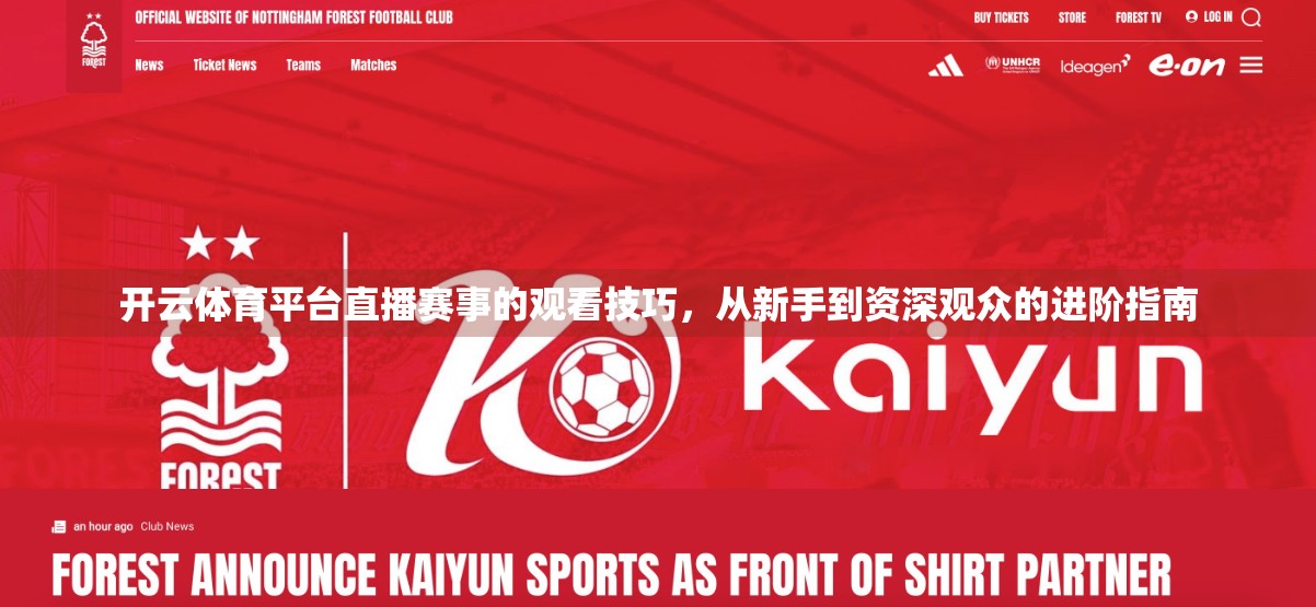 开云体育平台直播赛事的观看技巧，从新手到资深观众的进阶指南