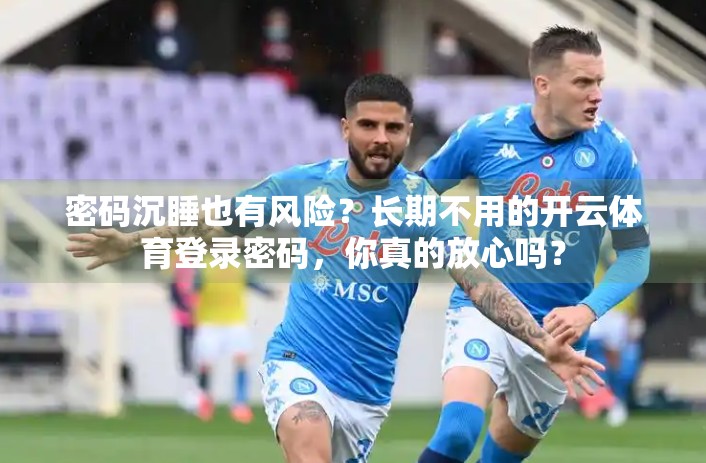 密码沉睡也有风险？长期不用的开云体育登录密码，你真的放心吗？
