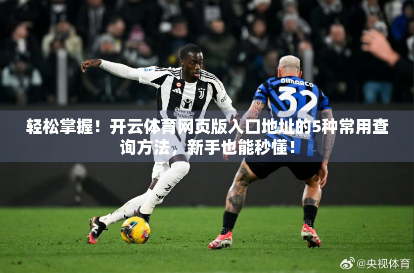 轻松掌握！开云体育网页版入口地址的5种常用查询方法，新手也能秒懂！