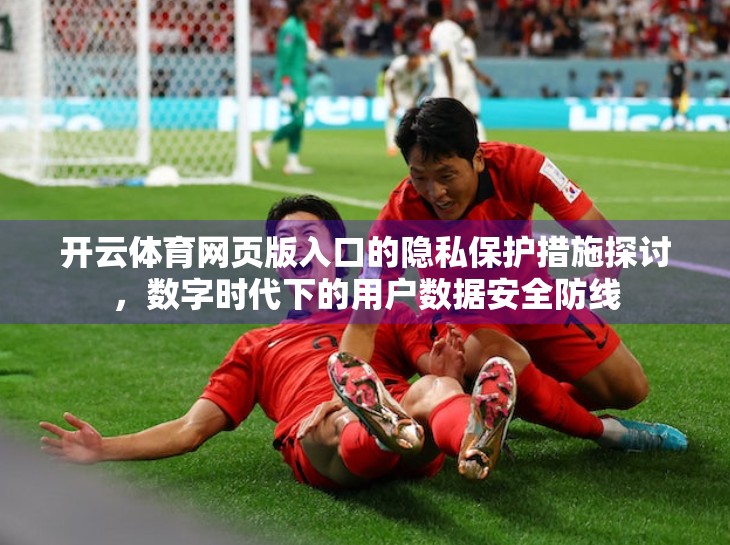 开云体育网页版入口的隐私保护措施探讨，数字时代下的用户数据安全防线