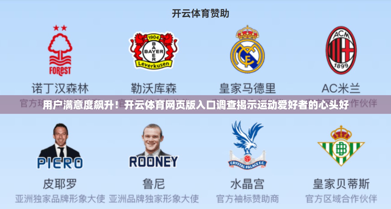 用户满意度飙升！开云体育网页版入口调查揭示运动爱好者的心头好