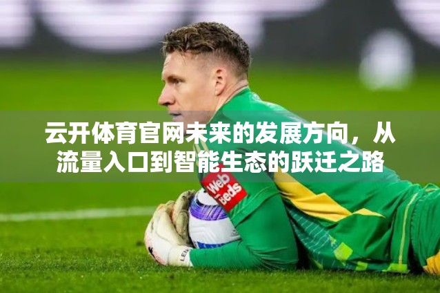 云开体育官网未来的发展方向，从流量入口到智能生态的跃迁之路