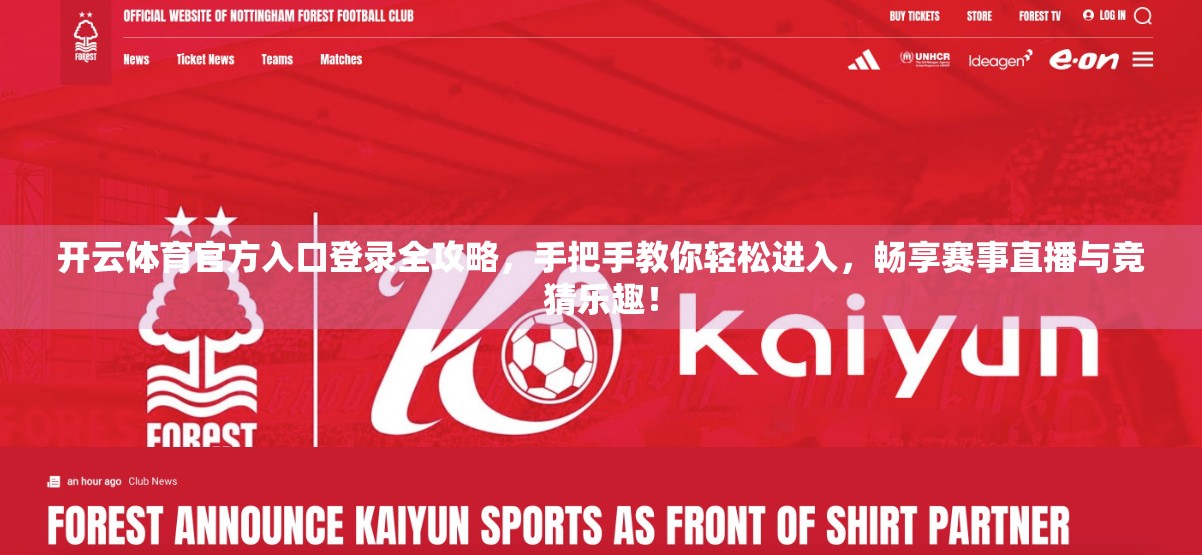 开云体育官方入口登录全攻略，手把手教你轻松进入，畅享赛事直播与竞猜乐趣！