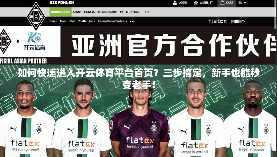 如何快速进入开云体育平台首页？三步搞定，新手也能秒变老手！