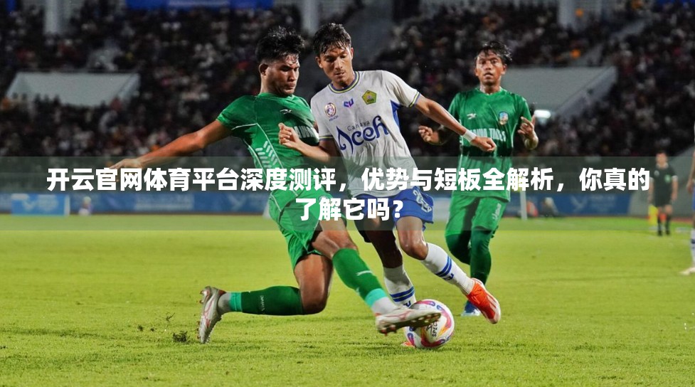 开云官网体育平台深度测评，优势与短板全解析，你真的了解它吗？