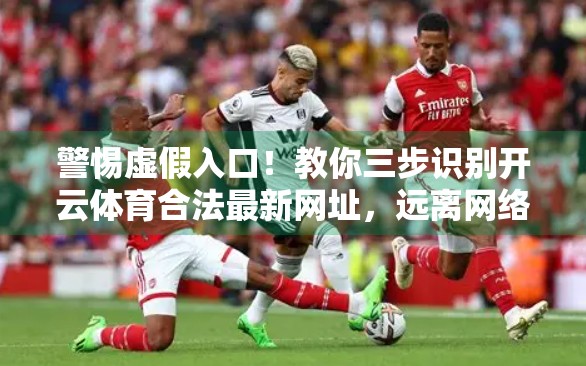 警惕虚假入口！教你三步识别开云体育合法最新网址，远离网络陷阱