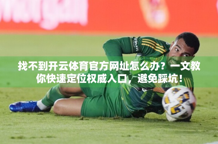 找不到开云体育官方网址怎么办？一文教你快速定位权威入口，避免踩坑！