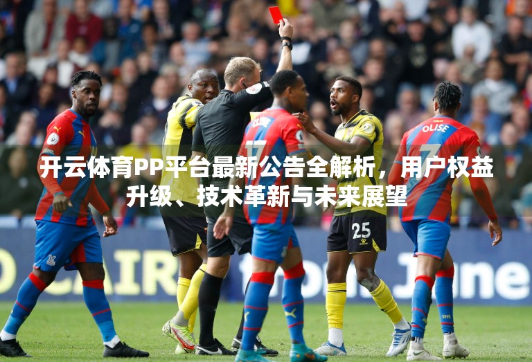 开云体育PP平台最新公告全解析，用户权益升级、技术革新与未来展望