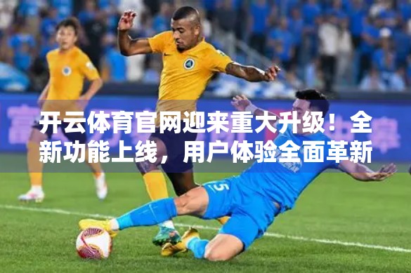 开云体育官网迎来重大升级！全新功能上线，用户体验全面革新