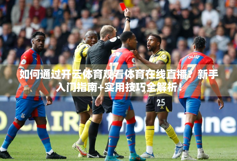如何通过开云体育观看体育在线直播？新手入门指南+实用技巧全解析！