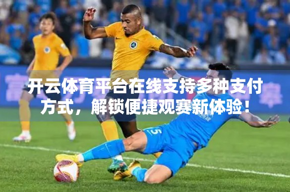 开云体育平台在线支持多种支付方式，解锁便捷观赛新体验！