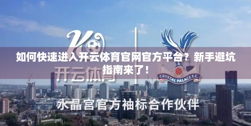 如何快速进入开云体育官网官方平台？新手避坑指南来了！