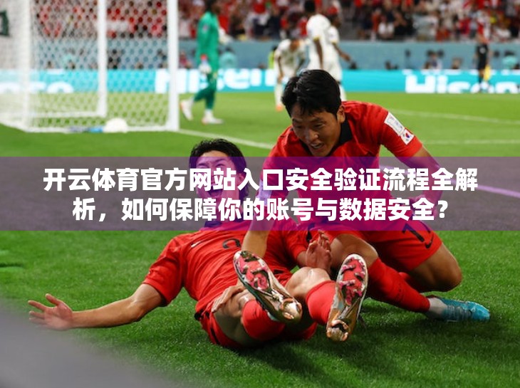 开云体育官方网站入口安全验证流程全解析，如何保障你的账号与数据安全？