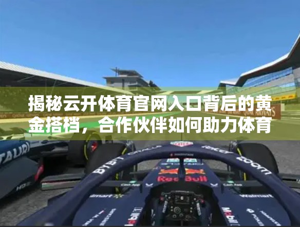 揭秘云开体育官网入口背后的黄金搭档，合作伙伴如何助力体育产业数字化升级？