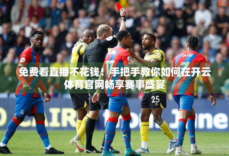 免费看直播不花钱！手把手教你如何在开云体育官网畅享赛事盛宴